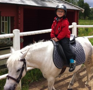 Måns och hästen