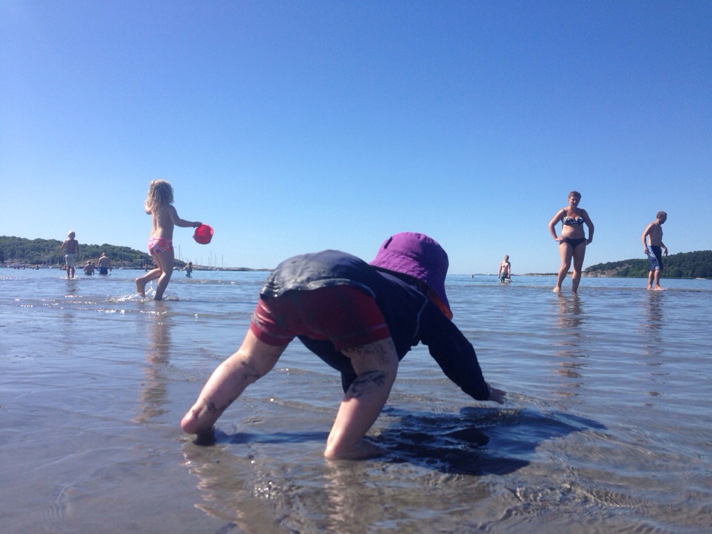 20130723-123203.jpg